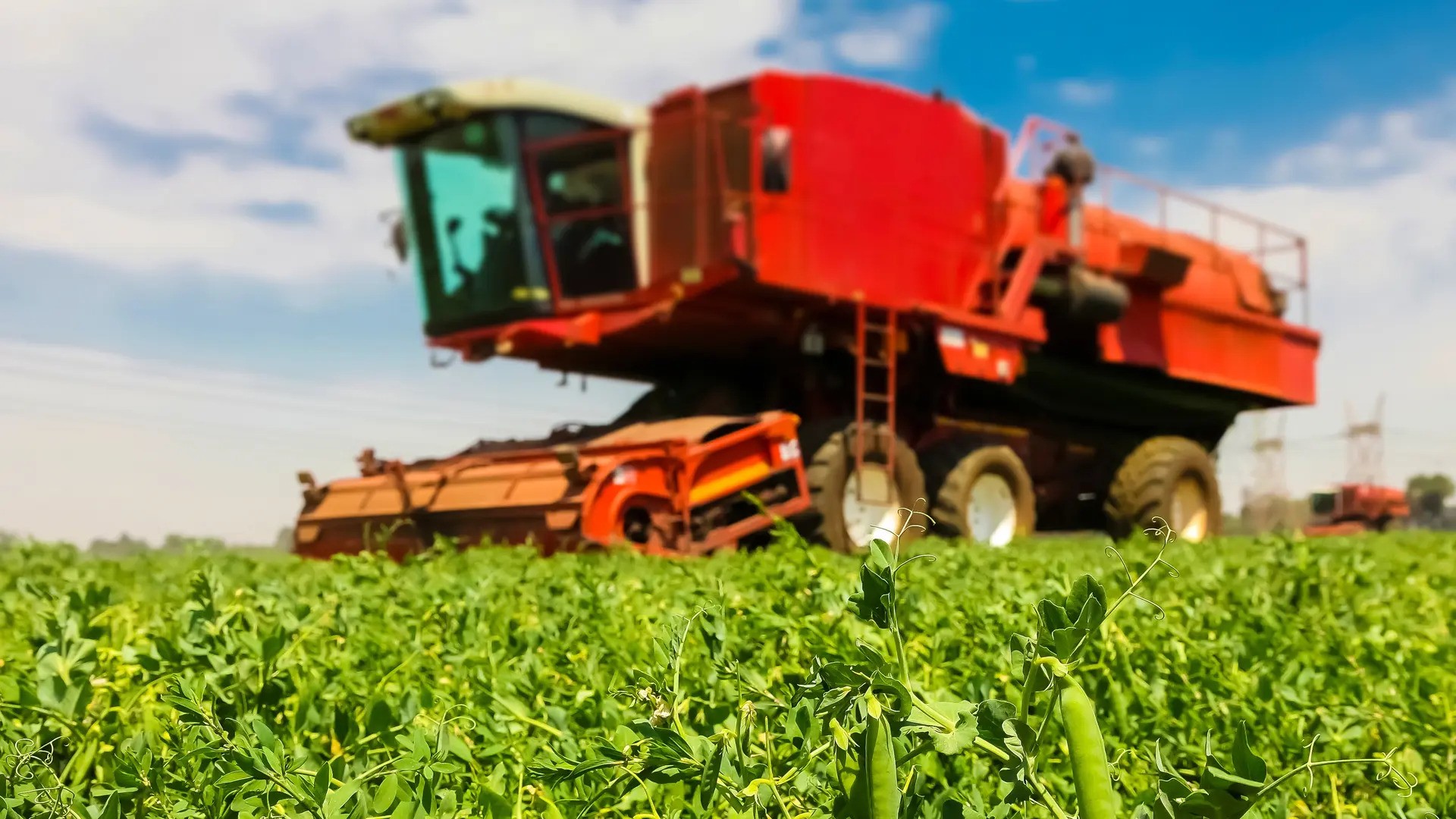 Gıda Endüstrisi, Tarım ve Hayvancılık İşletmelerinin Çevresel Sorumlulukları Nelerdir