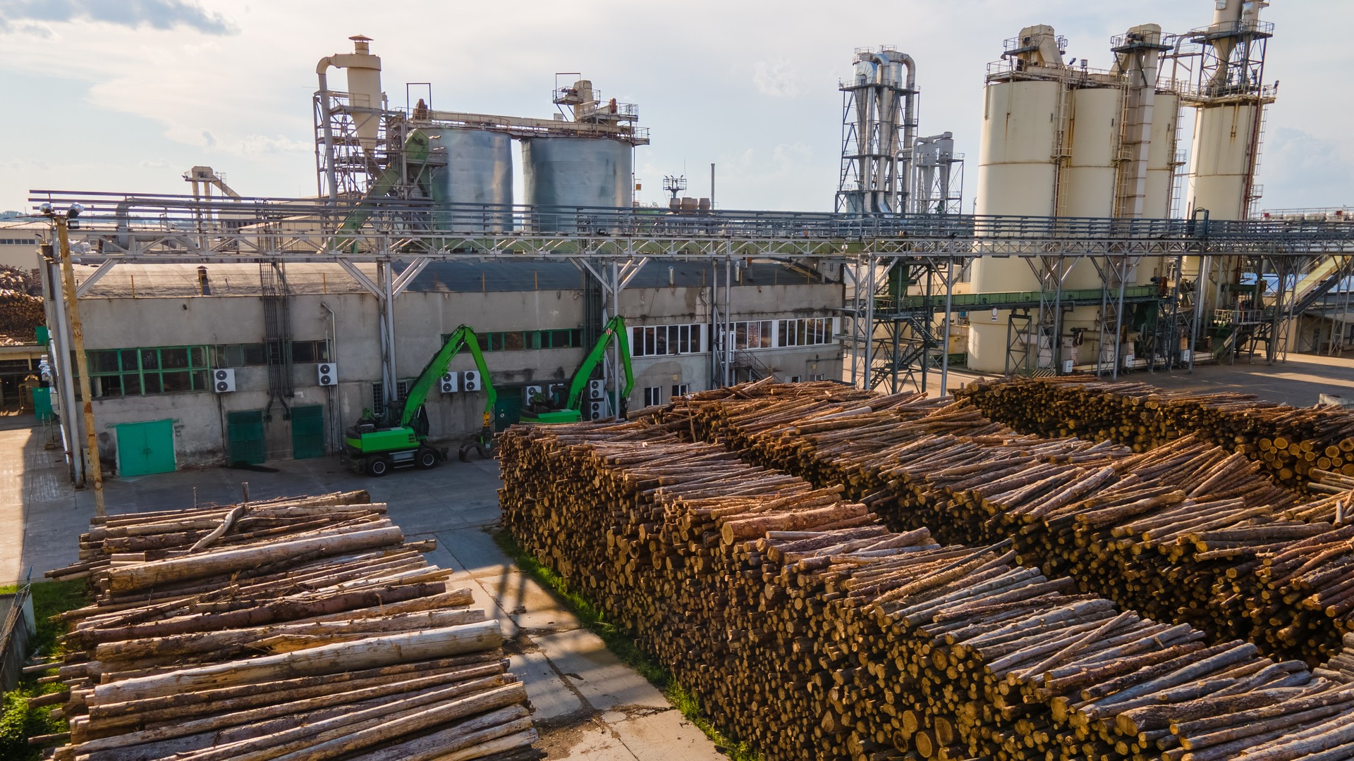 Orman Ürünleri ve Selüloz Tesislerinin Çevresel Sorumlulukları Nelerdir?